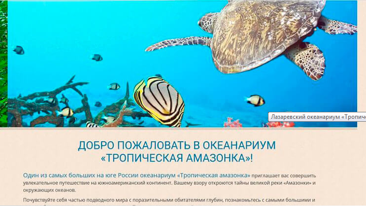 корпоративнсайт