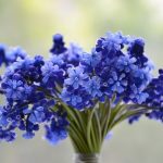 Находим и доставляем всевозможные цветы