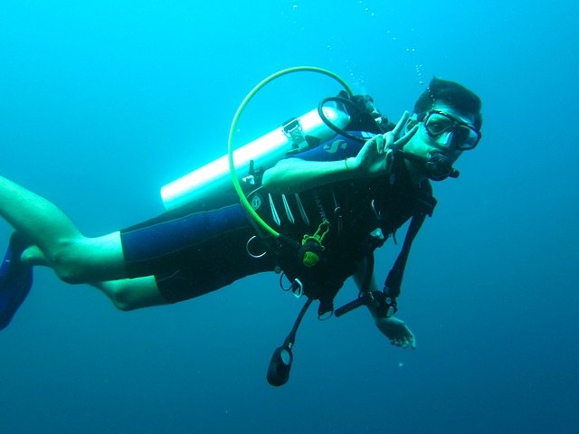 scuba-diver-261577_640 Дайвинг в Геленджике