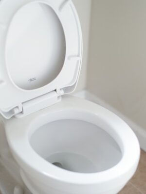 Унитаз туалет Унитаз туалет