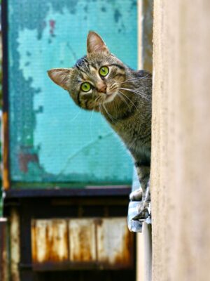 Поиск в труднодоступных местах Поиск в труднодоступных местах