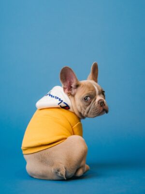 Установка камер для поиска Установка камер для поиска